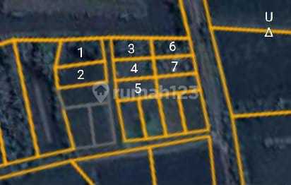 Jual Tanah di Brambang Pundenarum Karangawen, Demak