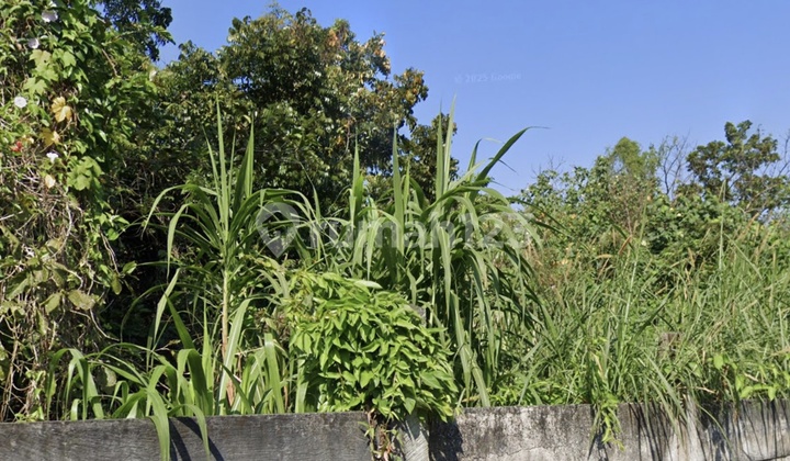 6 Hectares of Land in Semarang Suitable for Housing, Shophouses, Warehouses 1