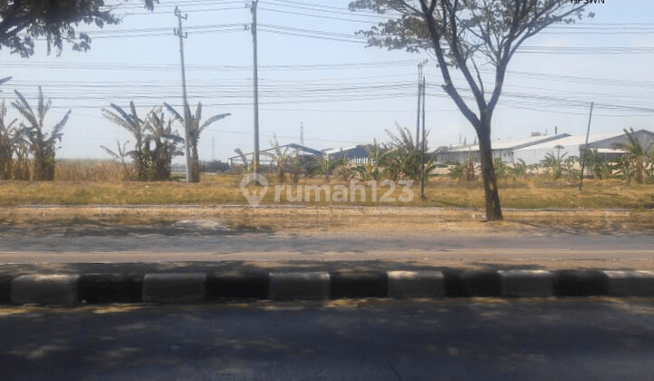 Dijual Tanah 2ha Shm di Jalan Raya Semarang Demak  1