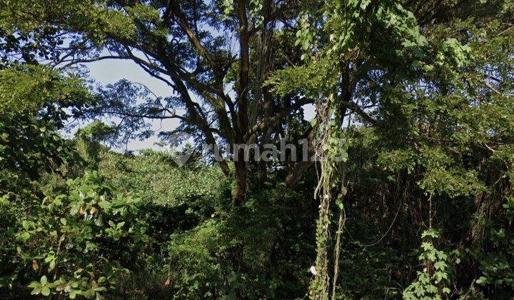 6 Hectares of Land in Semarang Suitable for Housing, Shophouses, Warehouses 2
