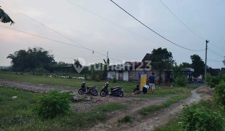 Ready-to-Build Plot Gedangan Tegowanu, Grobogan