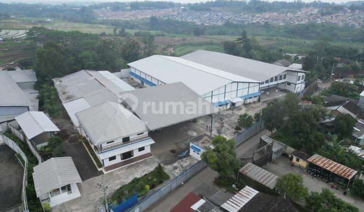 Dijual Pabrik di Campurejo Boja Kendal, Kendal 1