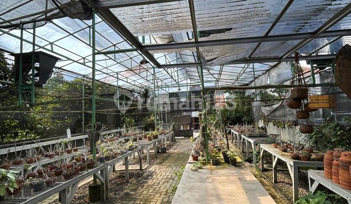 Dijual Tanah dan Tempat Usaha di Palebon Semarang Timur 1