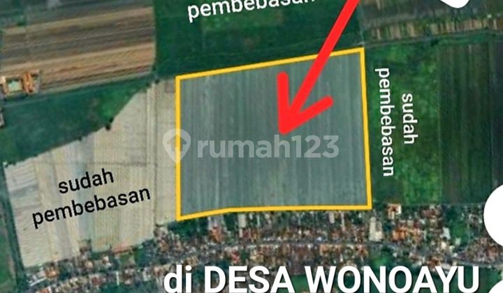 Murah Dijual 3 Bidang Tanah Desa Wonoayu Sidoarjo Jawa Timur - Jalan Aspal Antar Desa - 100 Meter Dari Jalan Raya Propinsi Sidoarjo - Krian - Plot Kuning Pemukiman Murah Dijual 3 Bidang Tanah Desa Wonoayu Sidoarjo Jawa Timur - Jalan Aspal Antar Desa - 100 Meter Dari Jalan Raya Propinsi Sidoarjo - Krian - Plot Kuning Pemukiman
