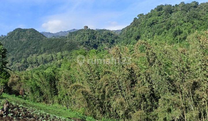 2 Ha Tanah Wisata Gunung Bromo - Sukapura - Probolinggo - Jatim 5