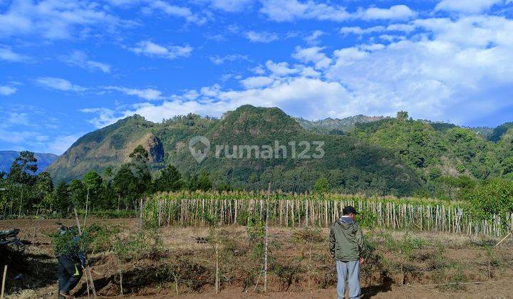 2 Ha Tanah Wisata Gunung Bromo - Sukapura - Probolinggo - Jatim 6