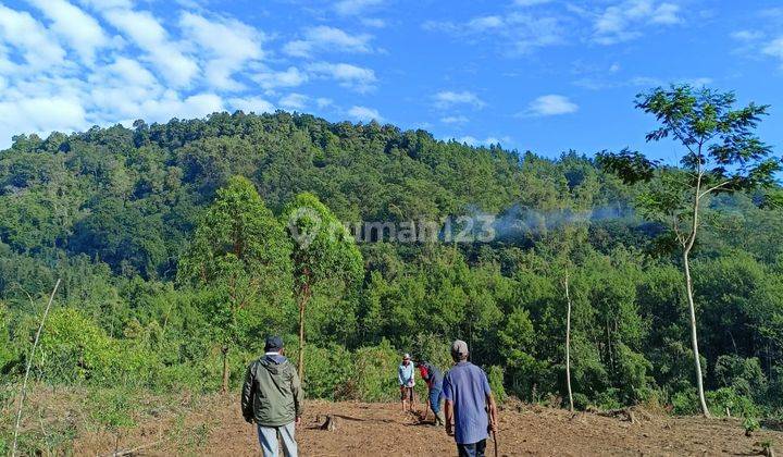 2 Ha Tanah Wisata Gunung Bromo - Sukapura - Probolinggo - Jatim 7
