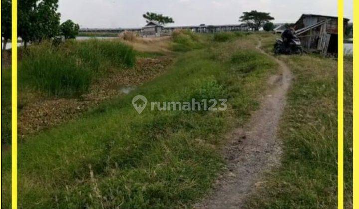 Dijual 5,2 Ha Tanah Gresik JATIM di Tambak Beras Cerme Gresik - Nol Jalan - Dekat Jalan TOL 1