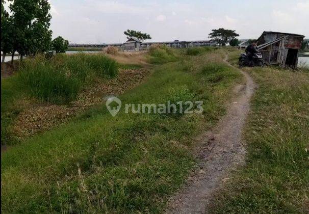 Dijual 5,2 Ha Tanah Gresik JATIM di Tambak Beras Cerme Gresik - Nol Jalan - Dekat Jalan TOL 2