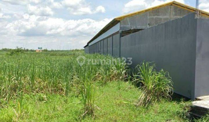 Dijual 2557 m2 Tanah Kavling Gedeg Mojokerto JATIM - Lokasi dekat Pabrik 1