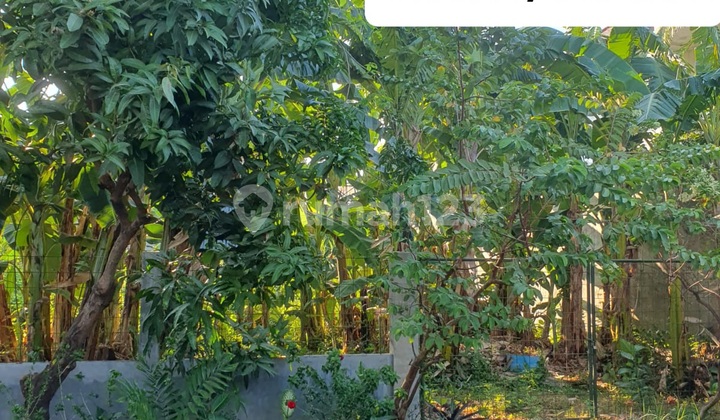 Dijual 564 M2 Tanah Kavling Jalan Jemursari Surabaya Strategis Dekat Dunkin Donuts Jemursari - Row Jalan 2 Mobil - Surat SHM