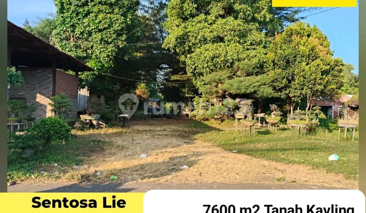 Dijual 7600 M2 Tanah Jalan Raya Pantura - Jalan Raya Tambakrejo - Kraton - Pasuruan Jawa Timur - Lokasi Bagus - Surat SHM