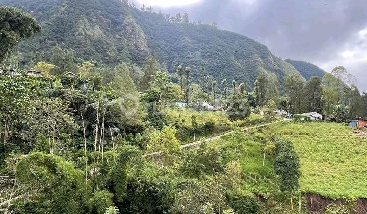 Dijual 2000 M2 Tanah Sapikerep - Sukapura - Probolinggo Jatim Dekat Wisata Gunung Bromo - Surat SHM - Cocok Buat Cafe,Resto,Segala Usaha