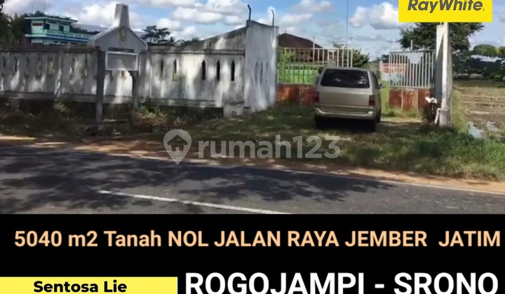 Dijual 5040 M2 Tanah Nol Jalan Raya Jember- Banyuwangi ( Rogojampi - Srono)- Lebar Depan 60 Meter -Surat SHM Cocok Buat Segala Usaha