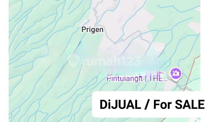 For Sale 2 Ha Land Prigen Pasuruan East Java Area Dayurejo - Strategic Only 23 Minutes to Cimory Prigen - SHM Certificate