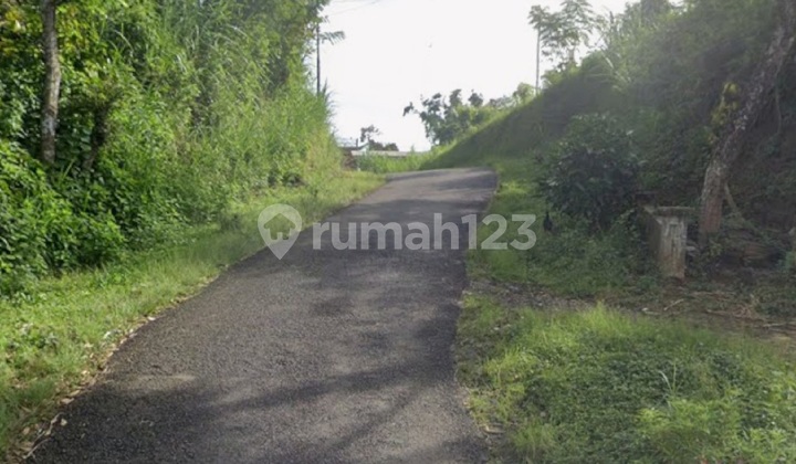 Murah Dijual 6 Ha Tanah Nol Jalan di Kalipucang - Tutur - Pasuruan - Jawa Timur Cocok Buat Peternakan, Perkebunan - Akses Jalan Berpaving Lebar 4 Meter - Surat SHM