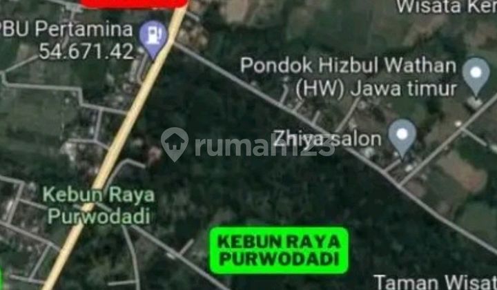 Dijual 1552 M2 Tanah Dan Bangunan Usaha Minimarket Cafe Komersial Dekat Kebun Raya Purwodadi - Pasuruan - Jawa Timur - Tanah Berpaving Full - Cocok Buat Segala Usaha - Parkiran Luas - Shm
