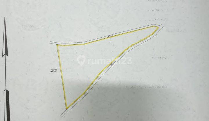 Kebun Jati Pinggir Jalan Kabupaten Bondowoso 2