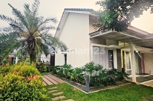 Rumah Siap Pakai Full Furnish Di Bsb Citraland 2