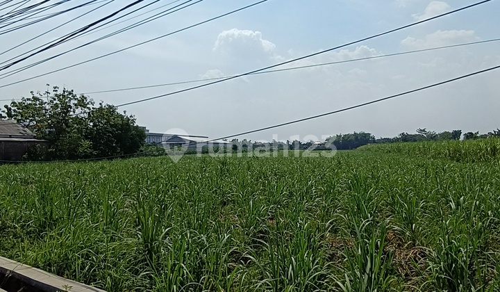 Strategic Land on the Side of Perak Jombang Provincial Road Strategic Land on the Side of Perak Jombang Provincial Road