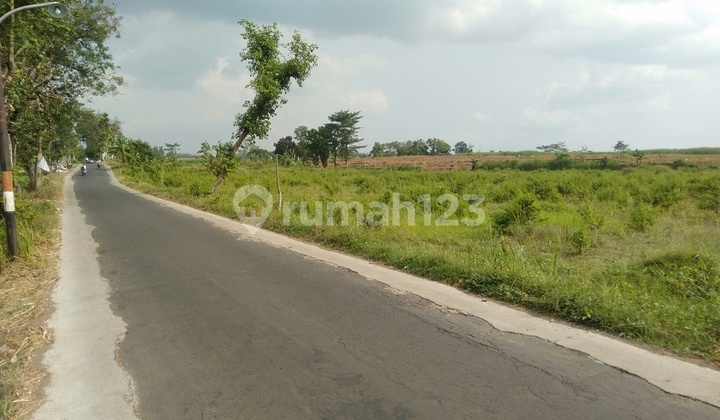 TANAH LUAS KERING SIAP BANGUN DI SUMBERDADI BARENG JOMBANG 1