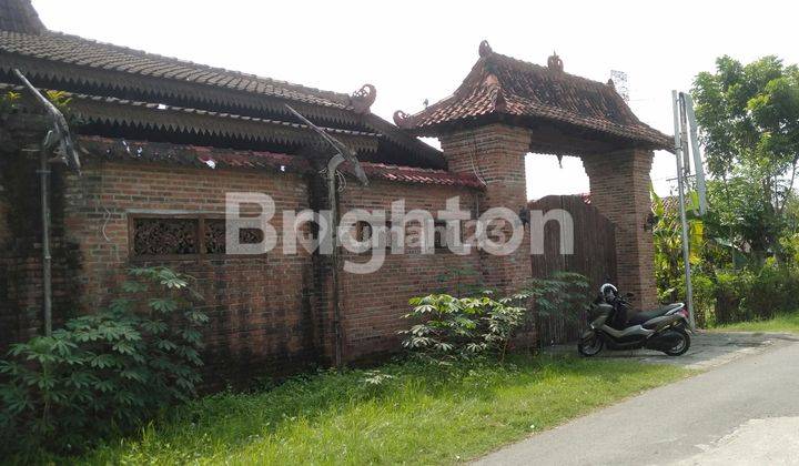 RUMAH MAKAN MODEL JOGLO DI DENANYAR JOMBANG 2