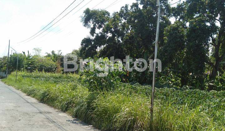 TANAH PEKARANGAN FULL PONDASI KELILING DI MOJONGAPIT JOMBANG 2