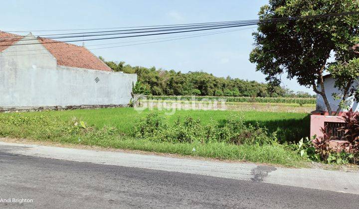 TANAH PEKARANGAN LUAS SIAP BANGUN DI MOJOWARNO JOMBANG 1