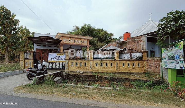 RUMAH BAGUS DENGAN TANAH LUAS DI JOGOROTO 1