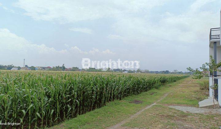 SAWAH LUAS SIAP PAKAI DI KAWASAN PADAT PENDUDUK JOMBANG 1