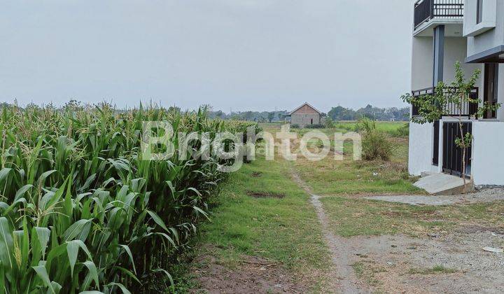 SAWAH LUAS SIAP PAKAI DI KAWASAN PADAT PENDUDUK JOMBANG 2