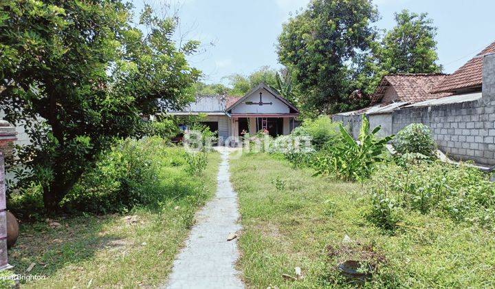 RUMAH LAMA DENGAN TANAH LUAS DI TENGAH KOTA JOMBANG 2