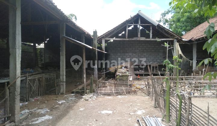 Lahan Luas Full Pagar dengan Kandang Ayam Petelur, Bebek & Kambing di Jogoroto Jombang Lahan Luas Full Pagar dengan Kandang Ayam Petelur, Bebek & Kambing di Jogoroto Jombang