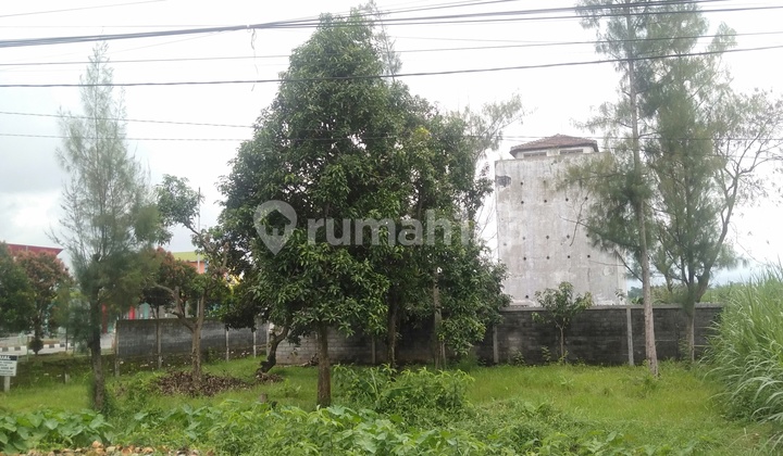 Lahan Luas Siap Bangun Bonus Rumah Walet di Jombang