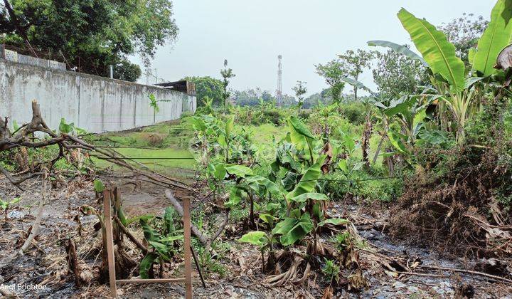 TANAH PEKARANGAN SIAP BANGUN DI TENGAH KOTA JOMBANG 1