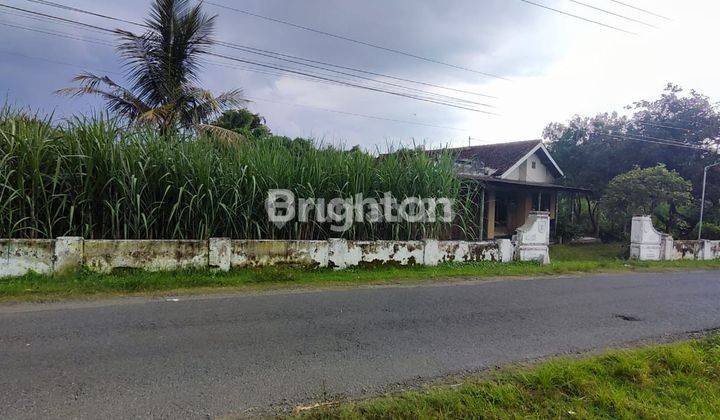 TANAH PEKARANGAN SIAP BANGUN DAN ADA RUMAH DI KEDIRI 1