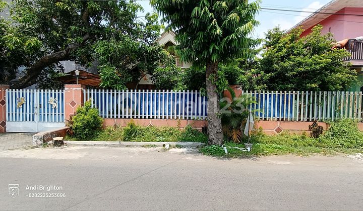 Rumah Siap Huni dengan Tanah Luas dan Bangunan Toko 2 Lantai di Jombang Rumah Siap Huni dengan Tanah Luas dan Bangunan Toko 2 Lantai di Jombang