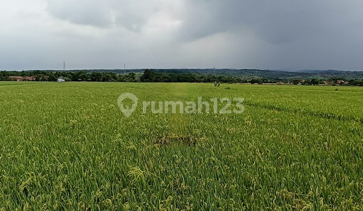 Wide Industrial Land in Mojoagung Mojowarno Jombang