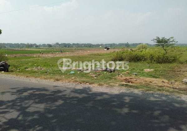 Tanah Pekarangan Siap Bangun di Mojowarno Jombang