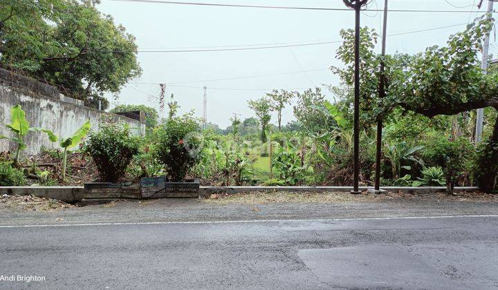 TANAH PEKARANGAN SIAP BANGUN DI TENGAH KOTA JOMBANG 2