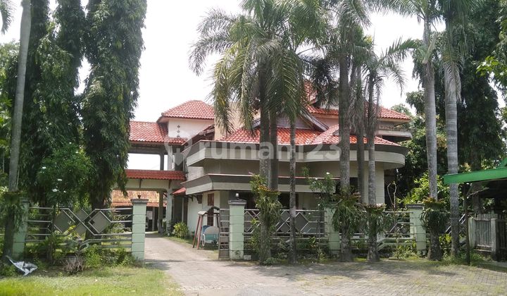 Lahan Luas untuk Usaha dan Rumah 2 Lantai di Perak Jombang 2