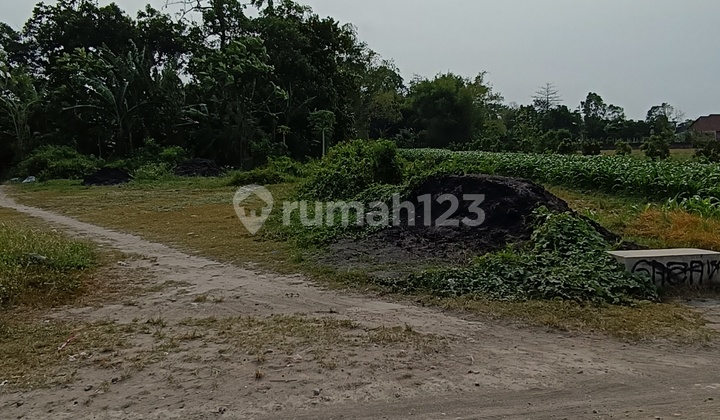 Tanah Pekarangan Siap Bangun di Pattimura Jombang