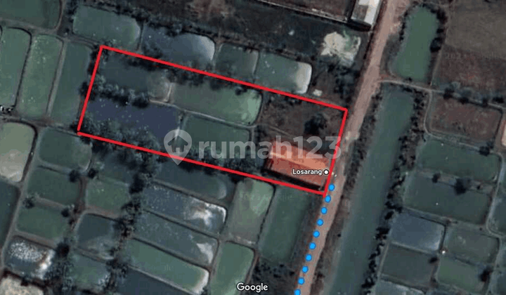 Lahan Kosong Strategis Di Losarang Indramayu Lahan Kosong Strategis Di Losarang Indramayu