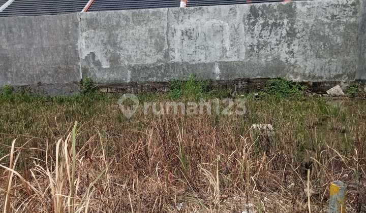 DIJUAL BUTUH CEPAT LAKU Kavling di Menganti Wiyung Surabaya DIJUAL BUTUH CEPAT LAKU Kavling di Menganti Wiyung Surabaya