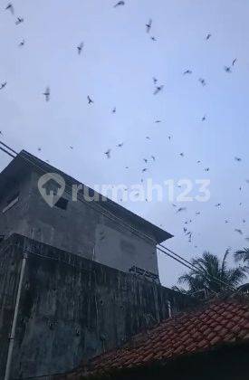 Butuh Cepat Terjual , Rumah Walet Di Cinangka Anyer Banten 2