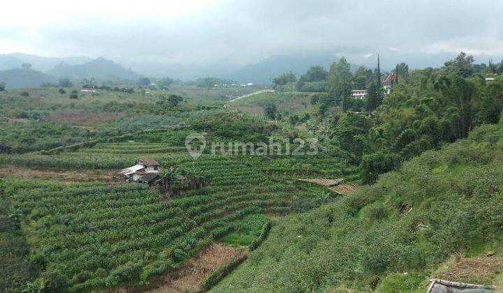 Disewakan Tanah Lokasi Strategis di Jalan Arjuno Jalan Utama Batu Malang Cocok Untuk Cafe Atau Tempat Wisata 2