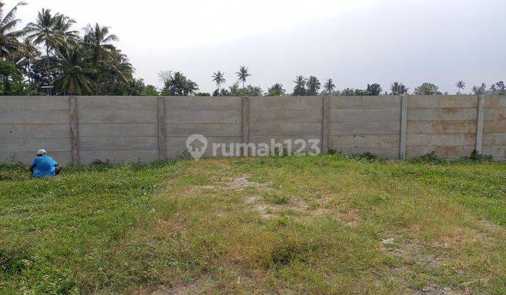 Tanah Kavling Murah Borongan 315jt Di Glanggang Tumpang Malang  1