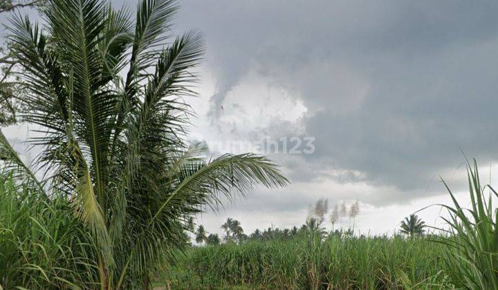 TANAH DI GONDANG LEGI KABUPATEN MALANG 2