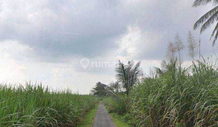 Tanah Pertanian di Ketawang, Gondanglegi, Kabupaten Malang 2