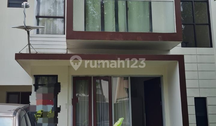 For rent house in Albera cluster BSD city For rent house in Albera cluster BSD city